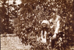 /medias/customer_2/NUMERISATION_2025/45 Fi Collection Pierre Allier/45_Fi_463_jpg_/0_0.jpg